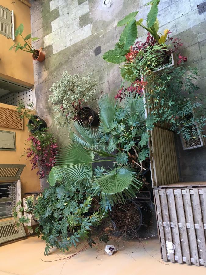 Heart Of Nice Harboor Cosy And Central Exteriör bild